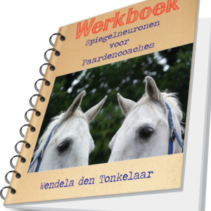 Masterclass Spiegelneuronen voor Paardencoaches